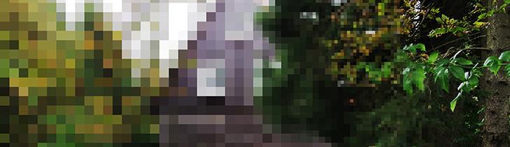 Videoüberwachung des eigenen Grundstücks