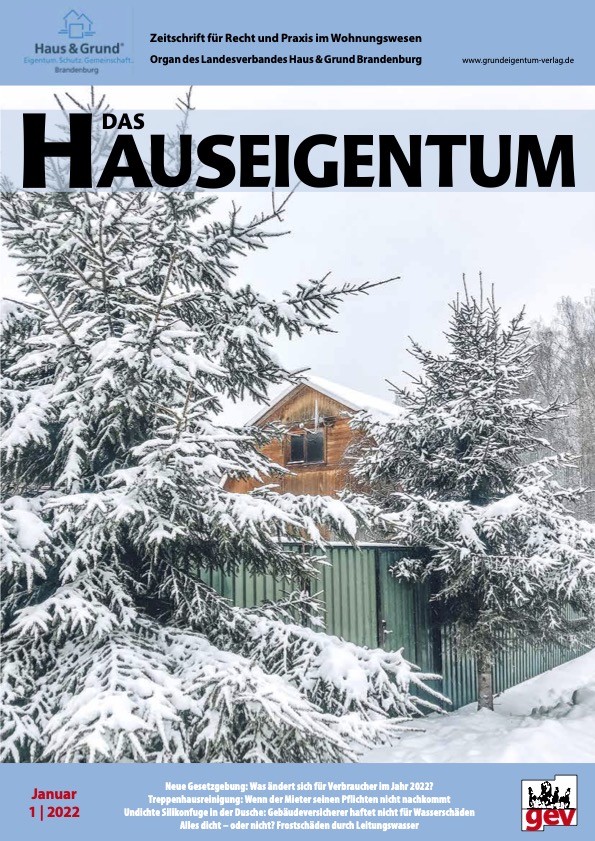 DAS HAUSEIGENTUM - Jahresabonnement